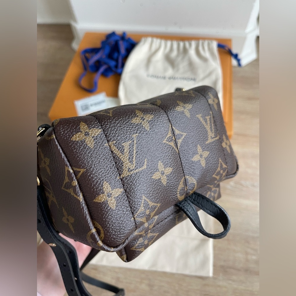 Louis Vuitton Palm Springs Mini Backpack in Monogram M41562 - Picture 8 of 13